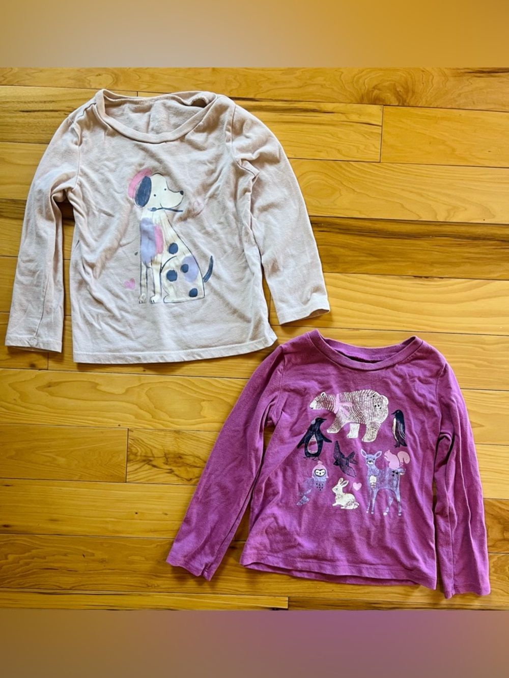 OshKosh B'Gosh Set of 2 Long-Sleeve Tees Dog & Arctic Animals 4T